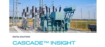 Cascade Insight flyer