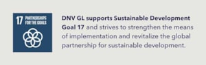 SDG 17